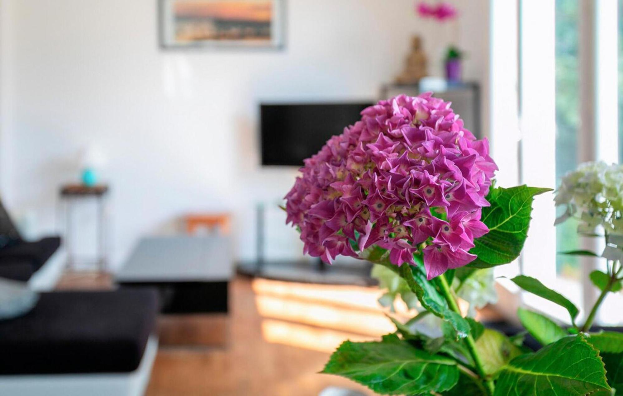 2 Bedroom Stunning Home In Ploumagoar Zewnętrze zdjęcie